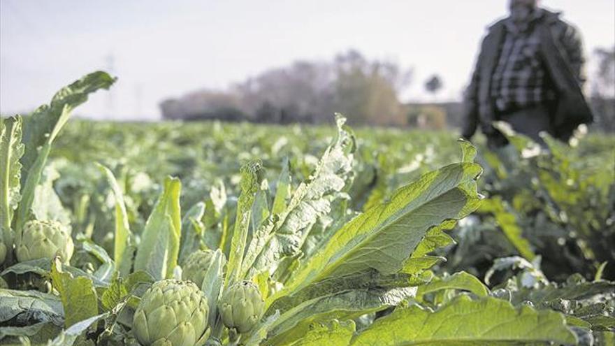 El campo se vacía y en Castellón pierde 4.000 trabajadores en 5 años