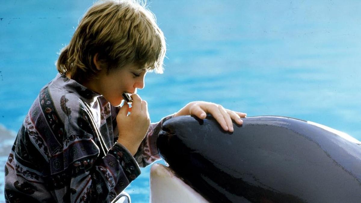 Una escena de la película 'Liberad A Willy'.