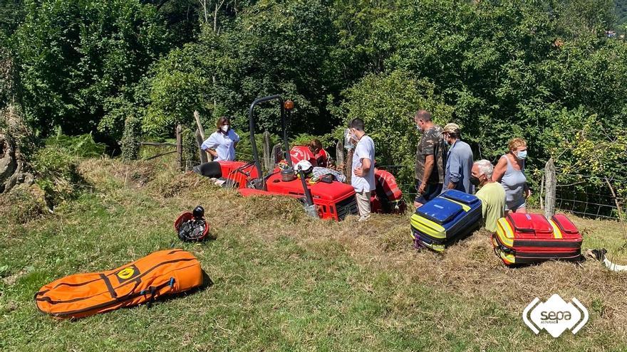 Un langreano, grave en el HUCA tras ser atacado por avispas en una finca