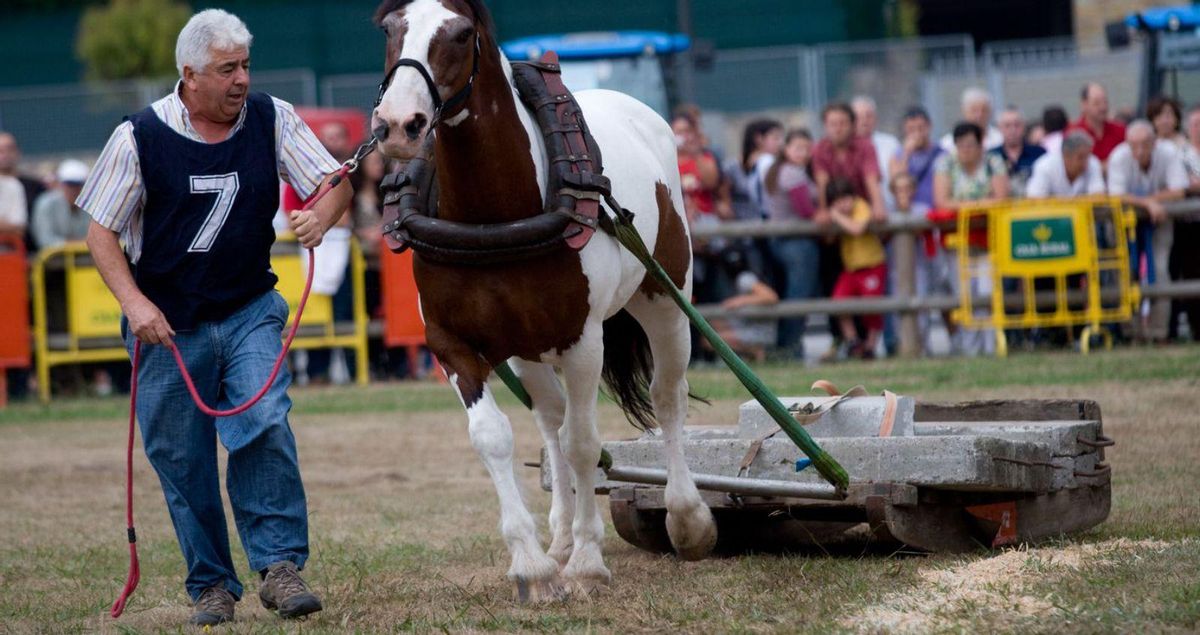 La vida deportiva y cultural bulle en Avilés