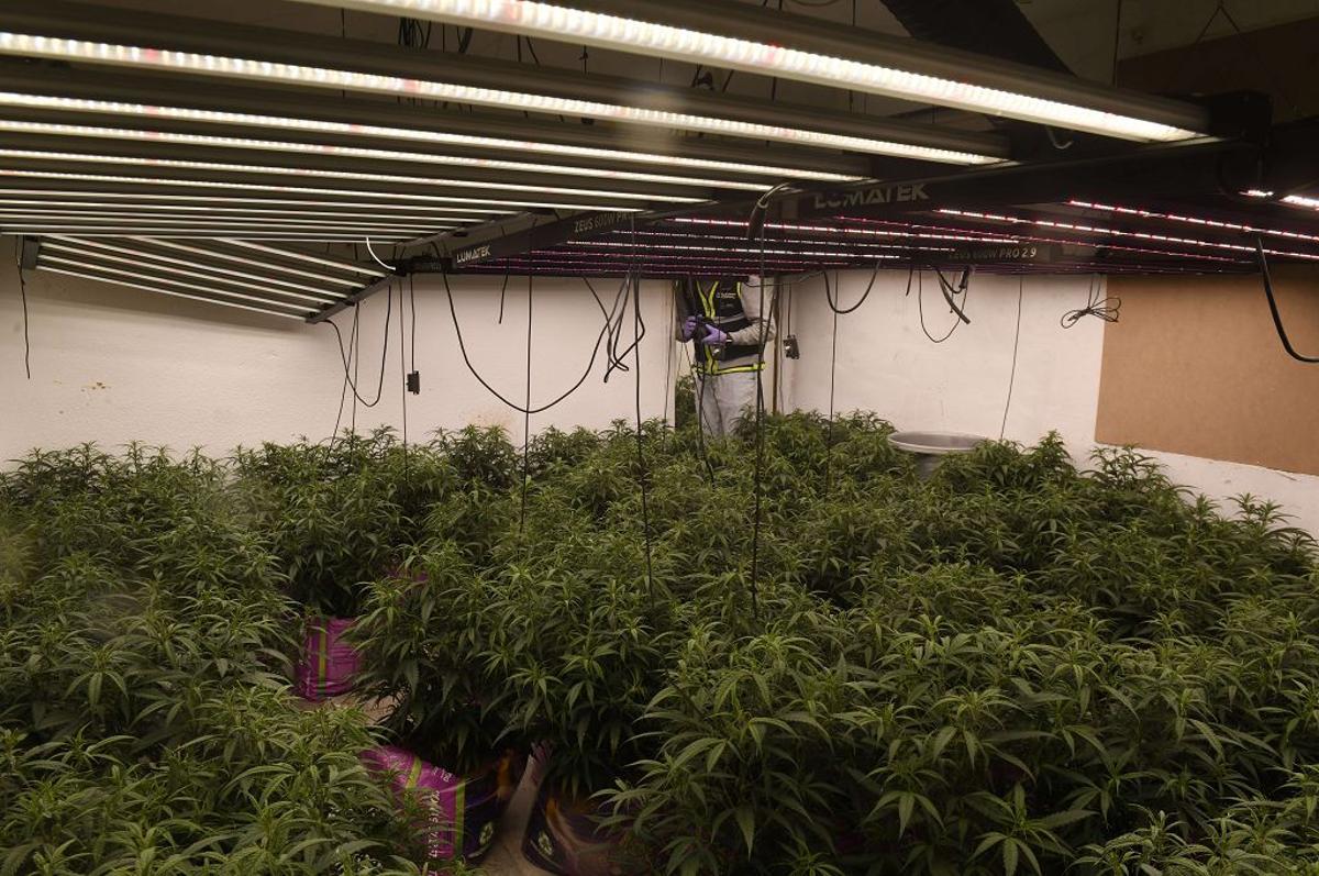 Las imágenes de la redada contra el narcotráfico en el Polígono de La Paz en Murcia Las imágenes de la redada contra el narcotráfico en el Polígono de La Paz en Murcia