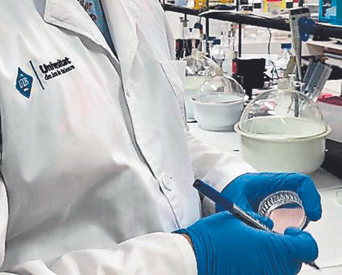 La universidad como aliada de los proyectos innovadores y de investigación