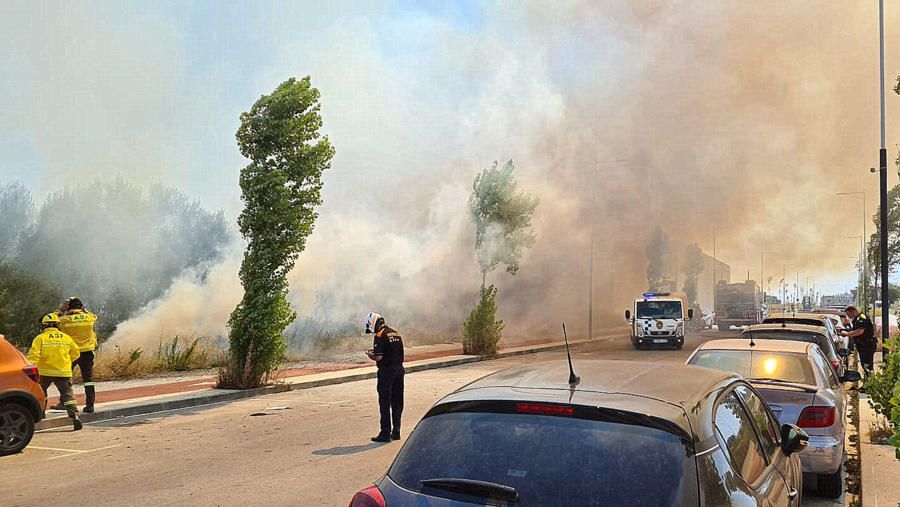 16 dotacions d'emergències intervenen en l'extinció d'un incendi en una zona verda fora del nucli urbà de Blanes