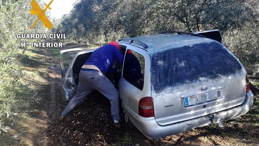 La Guardia Civil intensifica el control en puntos de recepción de aceitunas y fincas