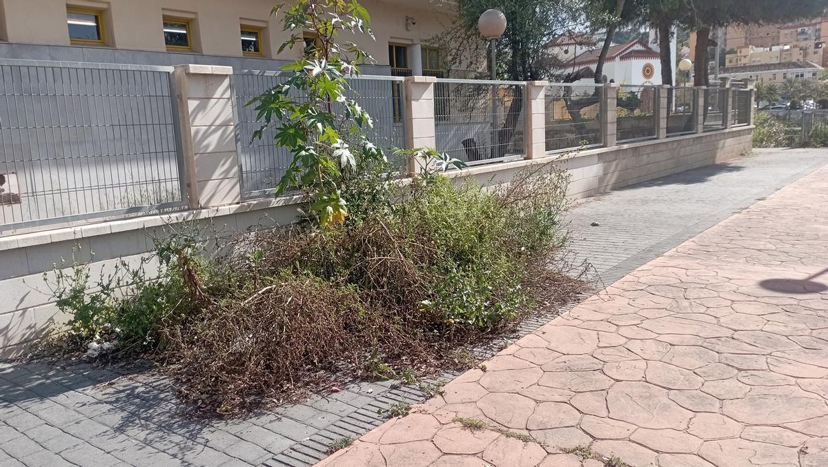 Otro de los alcorques de esta calle 'en la indigencia', junto a la avenida de la Palmilla, la semana pasada.