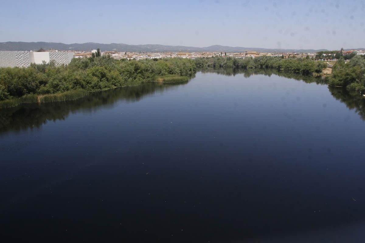 Fotogalería / Vertido de orujo en el Guadalquivir