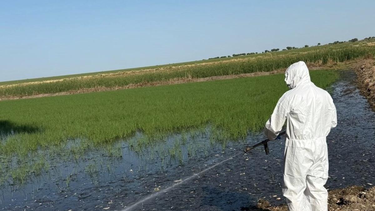 Un operario realiza las tareas de aplicación.