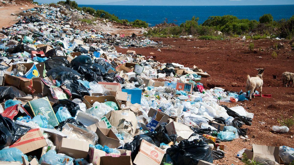 Los microplásticos han pasado de ser una preocupación ambiental a convertirse en un problema sanitario.