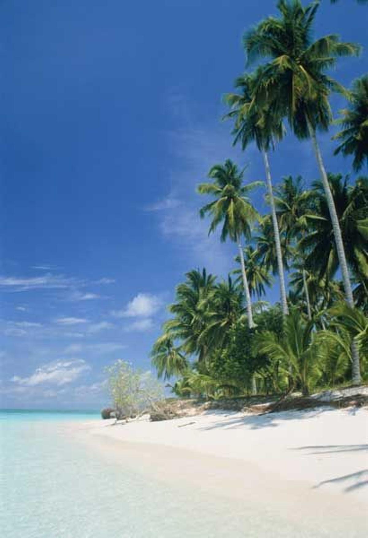 Playa con palmeras y arena blanca en la isla Mabul.