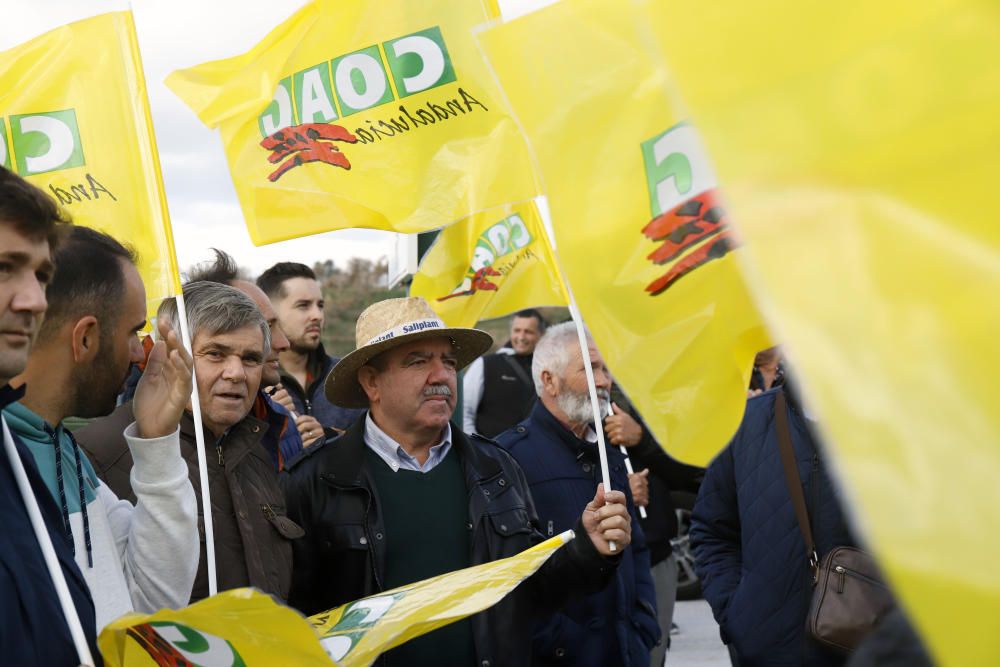 Los agricultores se manifiestan en Málaga contra la bajada de precios