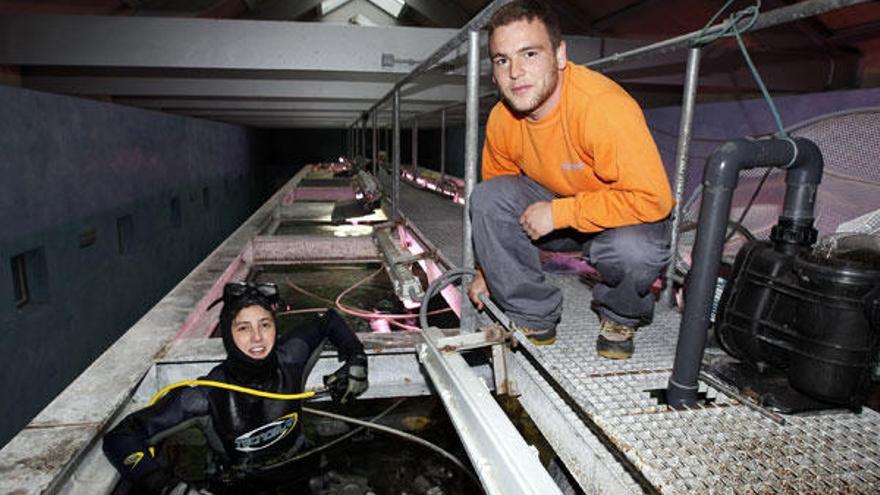 Los dos biólogos del museo, Laura Pérez y Rubén Pino, en la parte superior del tanque.