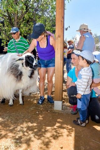 Festival de Sostenibilidad, Cultura y Soltura en Valsequillo