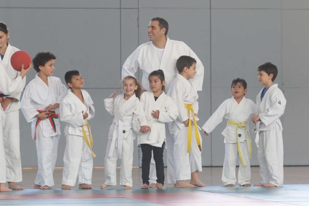 Judo para todos