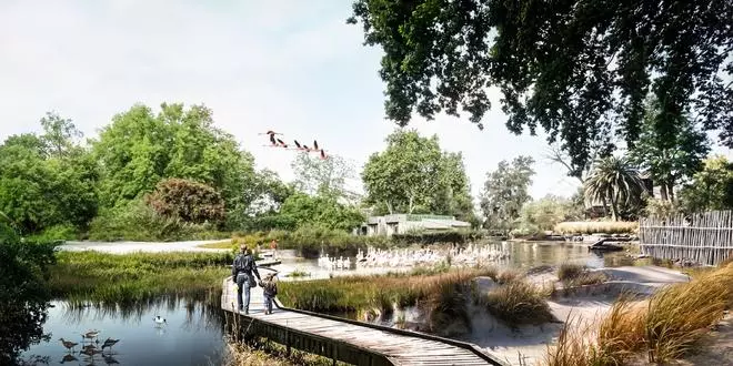 El Zoo de Barcelona proyecta reducir especies y juntarlas en áreas que recreen sus hábitats