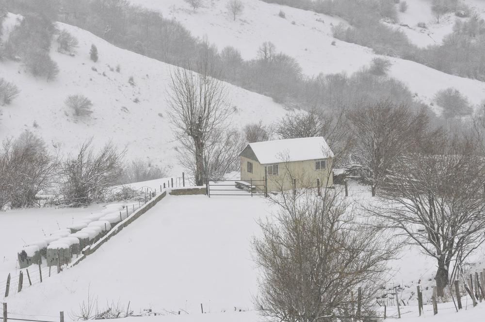 Asturias bajo el primer manto de nieve del año