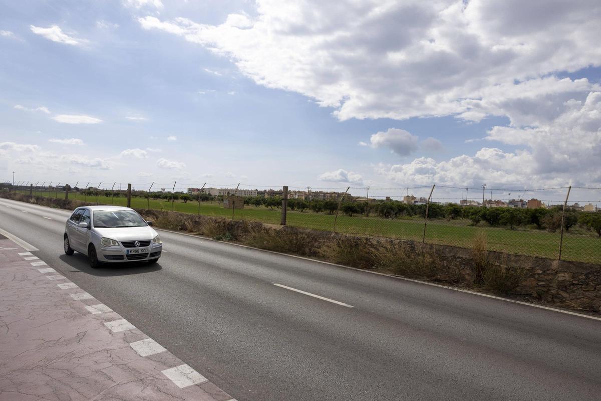 Terrenos en el Camí Salard de Son Güells donde el Ayuntamiento de Palma tramita la construcción de 3.097 viviendas