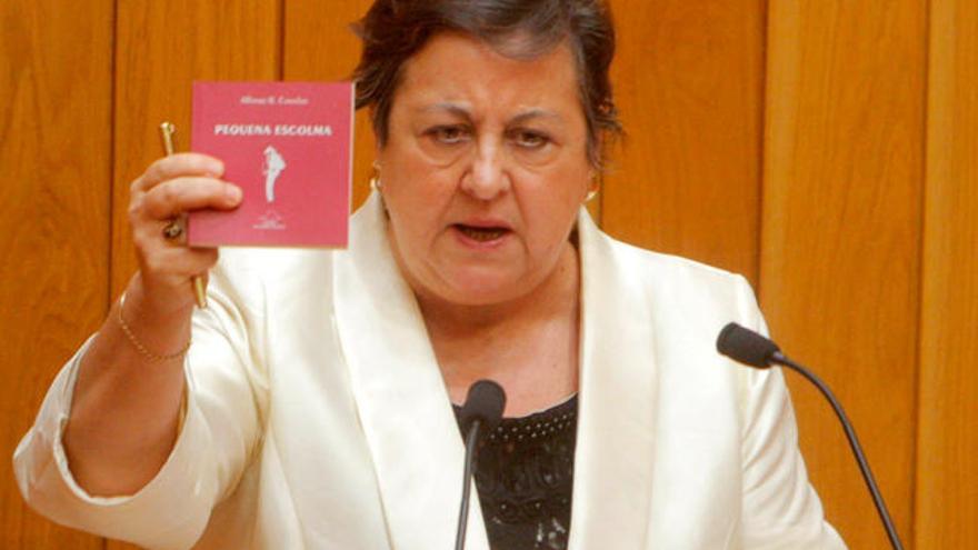 Pilar García Negro, en el Parlamento. // X. Álvarez