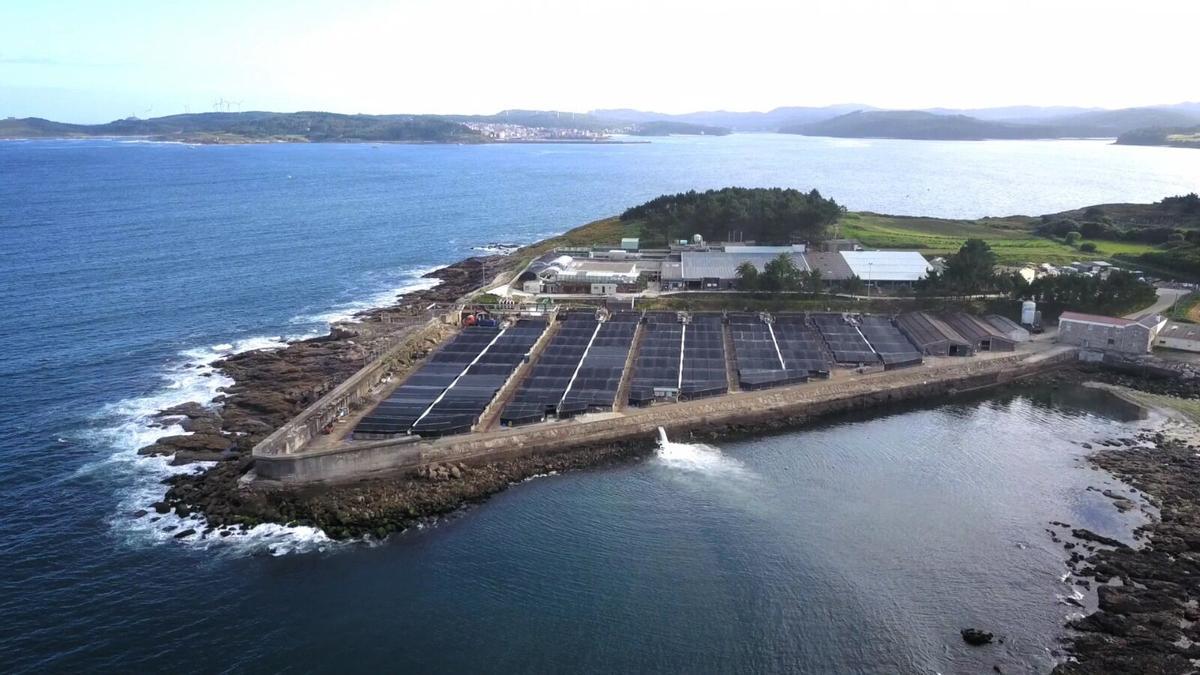 Granja de lenguado y rodaballo de Stolt Sea Farm en Merexo (A Coruña).