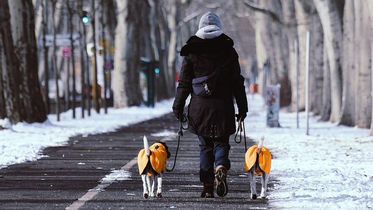 Una mujer pasea con dos perros por una calle nevada