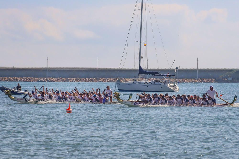 Festival Dragon Boat Torrevieja