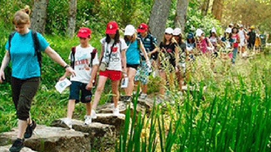 Eurobridge abre su oferta de verano con el campamento en Cazorla y la escuela de verano en Alicante