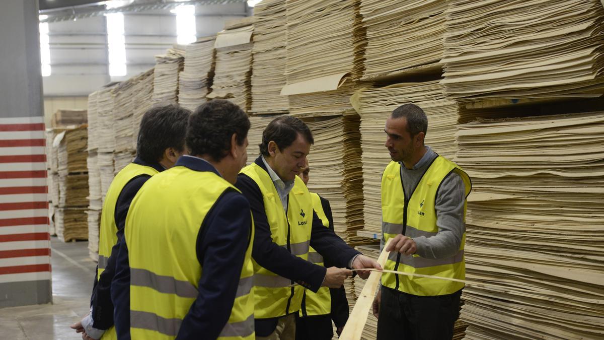 Alfonso Fernández Mañueco examina la madera prensada con la que se fabrica el contrachapado en Losán.