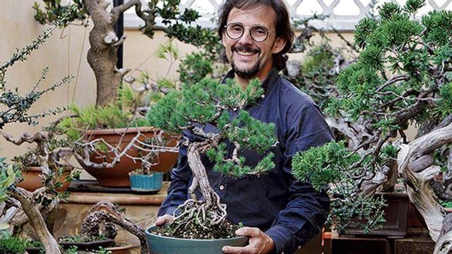 Bonsai auf Mallorca: Kunst am lebenden Objekt