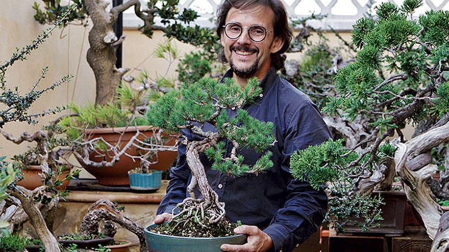 Bonsai auf Mallorca: Kunst am lebenden Objekt