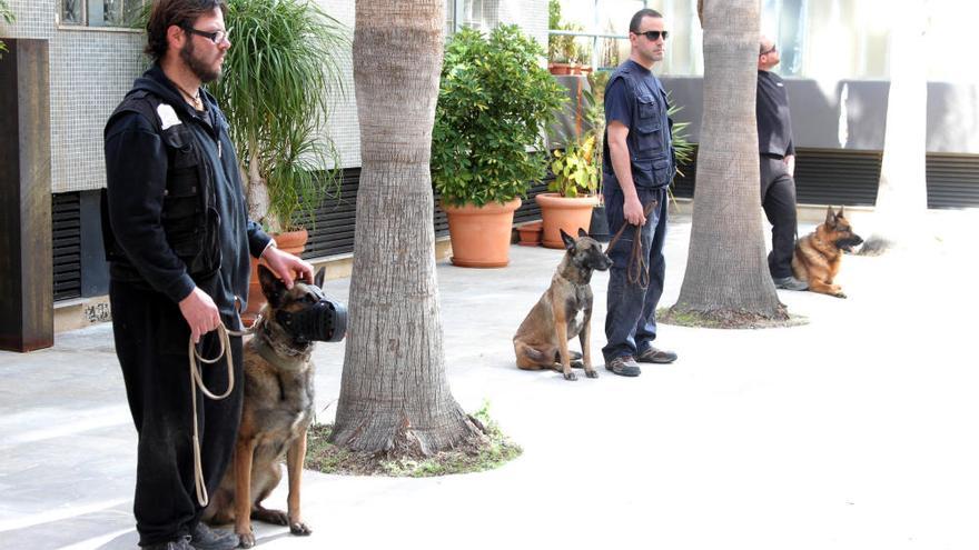 Exhibición canina en la Asamblea regional