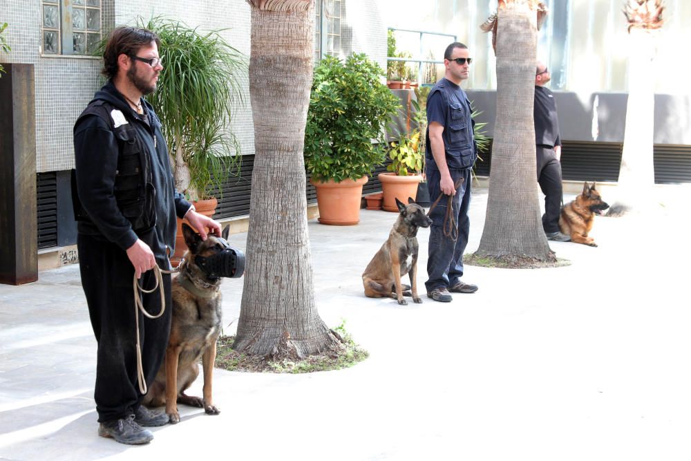 Exhibición canina en la Asamblea regional