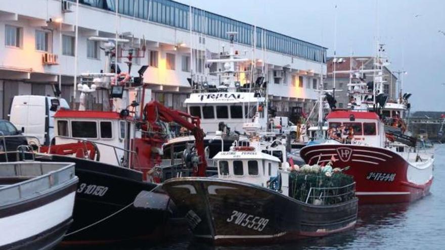 La flota de cerco de Vigo, ayer, amarrada en el puerto.  // Ricardo Grobas