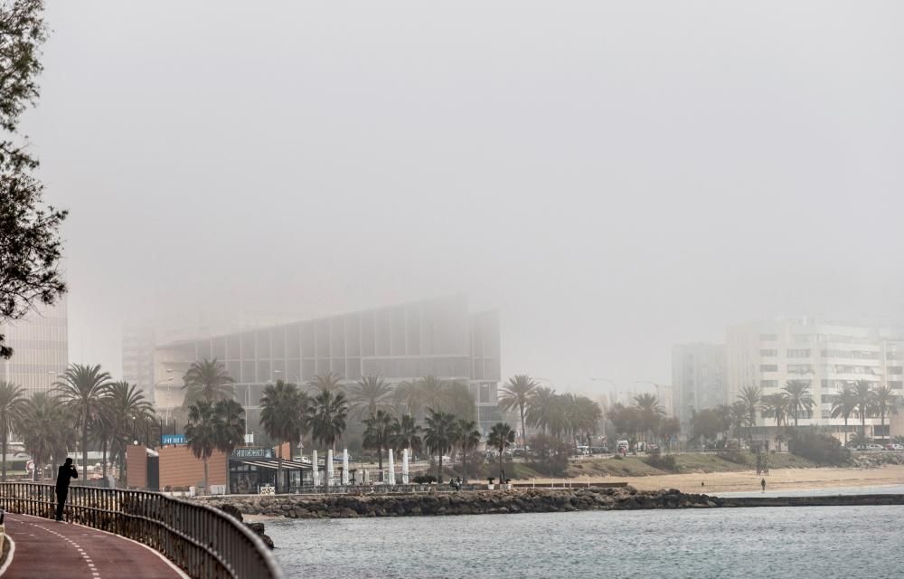 La niebla cubre Mallorca y no se irá hasta mañana