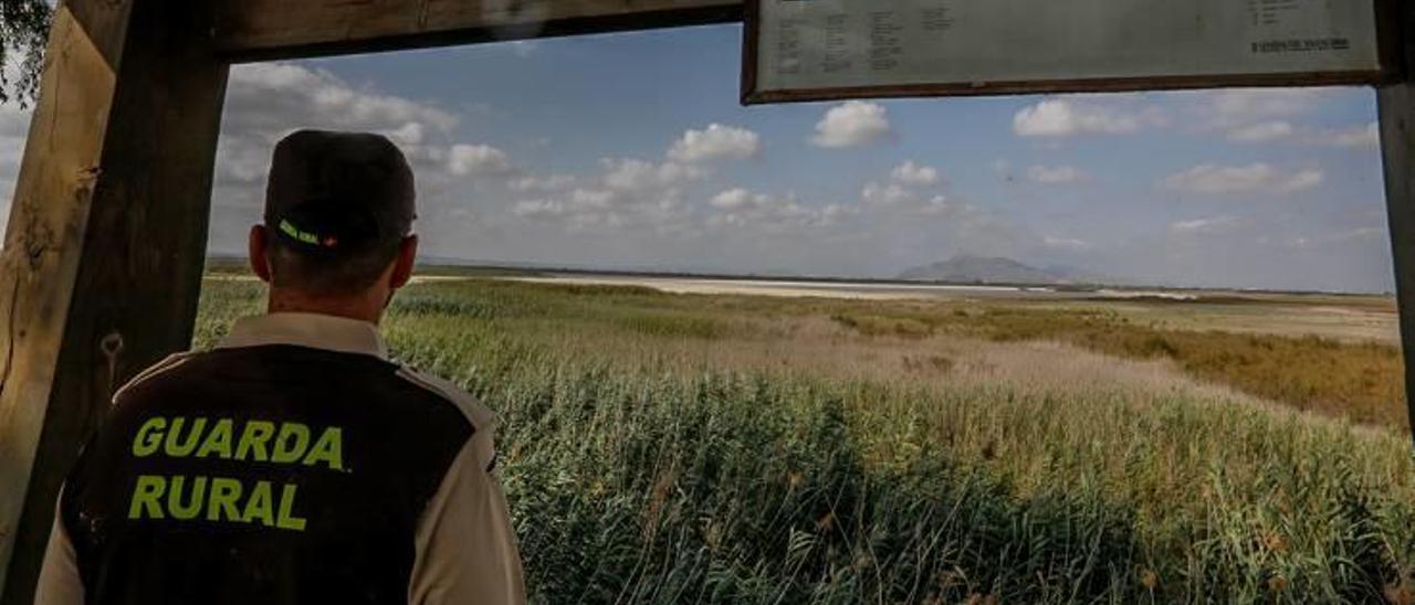 Un vigilante de El Hondo, observando uno de los embalses de agua de riego del paraje natural.