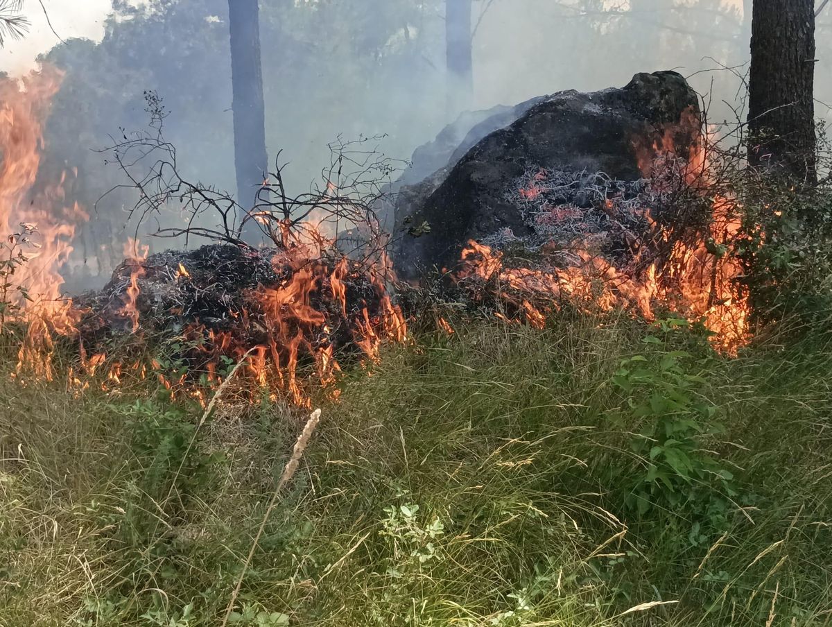 El incendio de Val afectó a tierras de cultivo y a masas arbóreas.