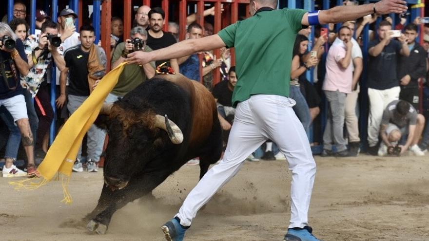 La peñas taurinas: &quot;Los toros no van a dejar de ser cultura porque lo diga el nuevo ministro&quot;