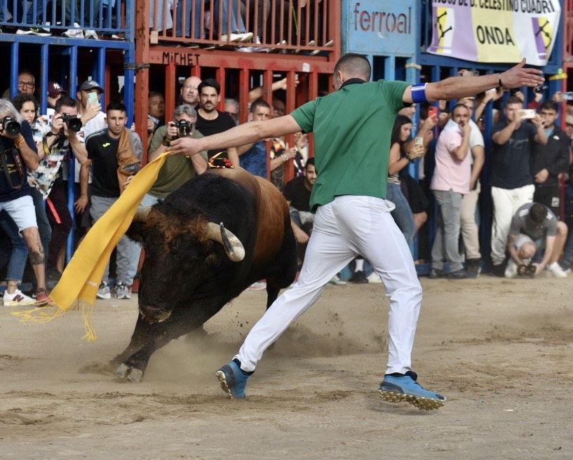 Las fotos del intenso miércoles de 'bous al carrer' de la Fira d'Onda, con visita de Bruno Soriano