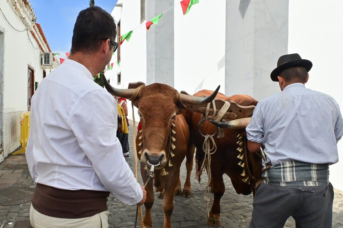 Romería Labradores 2022