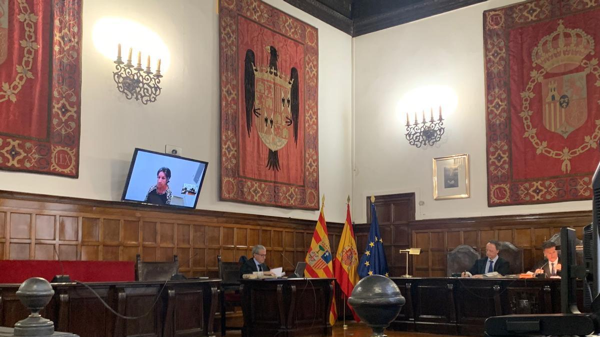 María del Carmen Villa siguió la vista de apelación por videoconferencia desde la cárcel.