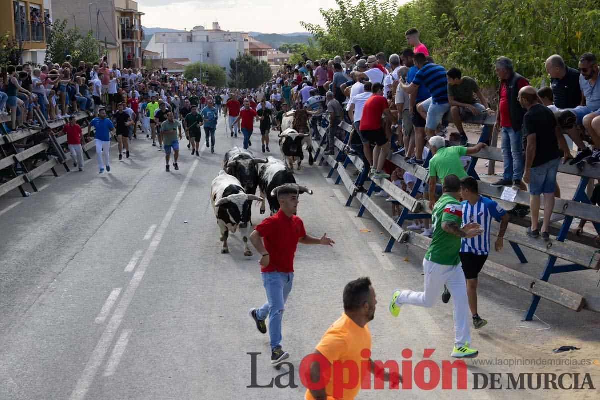 Primer encierro de la Feria del Arroz de Calasparra