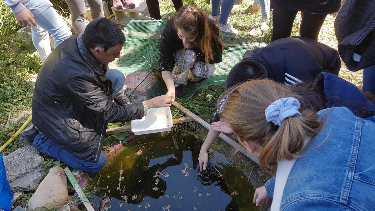 Varios voluntarios de SOS Anfibios Aragón cuidan de algunas especies