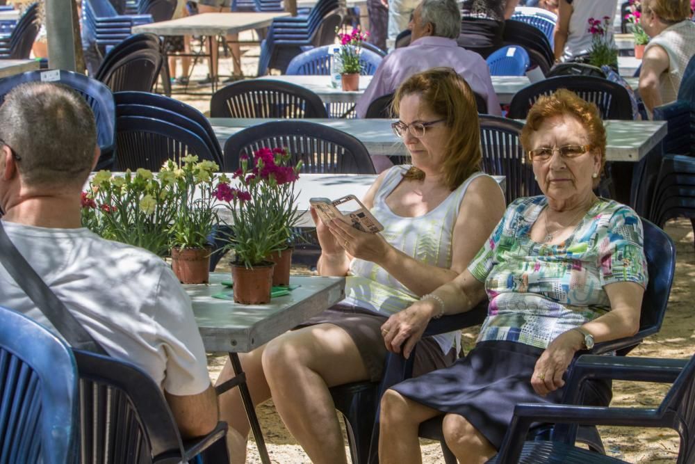 Treinta años del parque Lo Morant