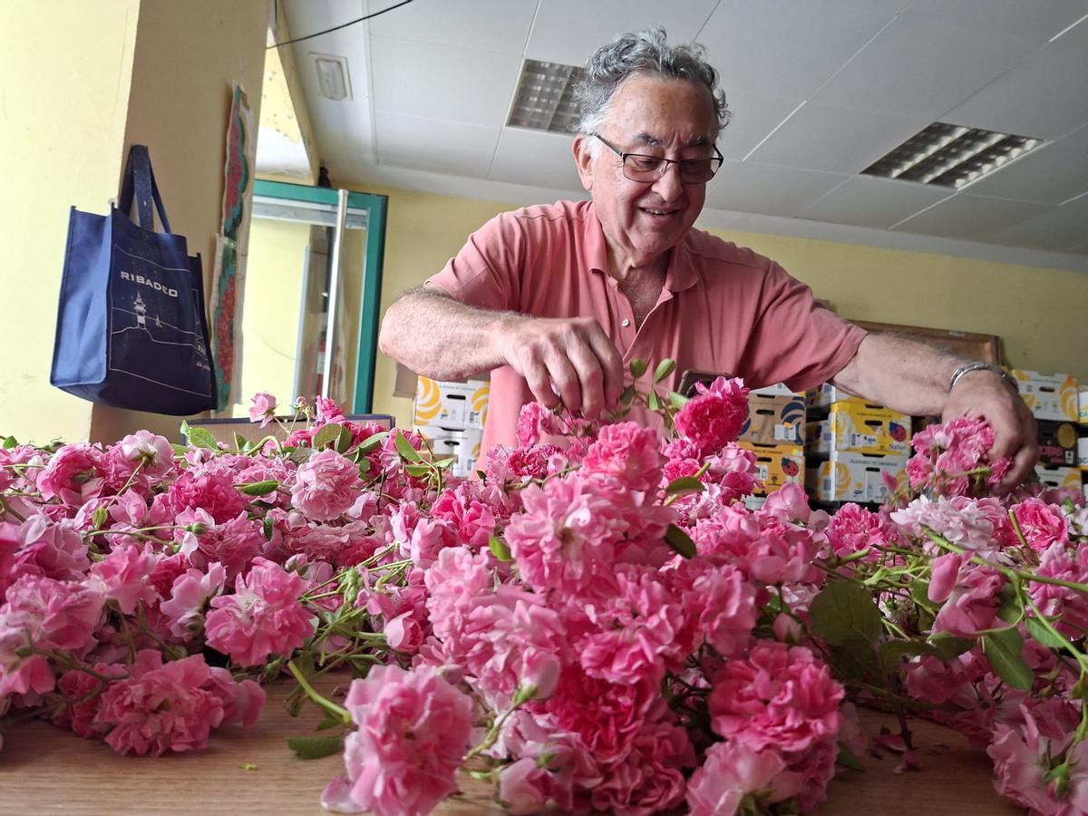 En imágenes: Los artistas florales de Castropol encaran la recta final para el Corpus Christi
