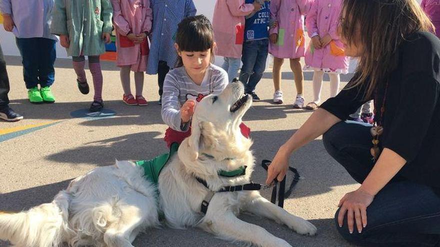 Leo, un &#039;profesor&#039; canino en el CEIP Jaume I de Vinaròs