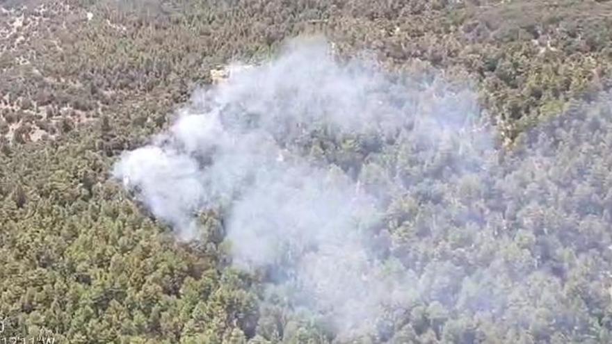 Incendio forestal en Castellfort