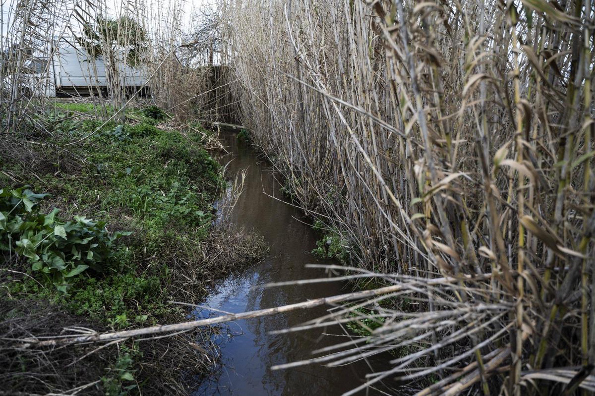 Galería | Estado del Marco tras el desembalse del Guadiloba en Cáceres