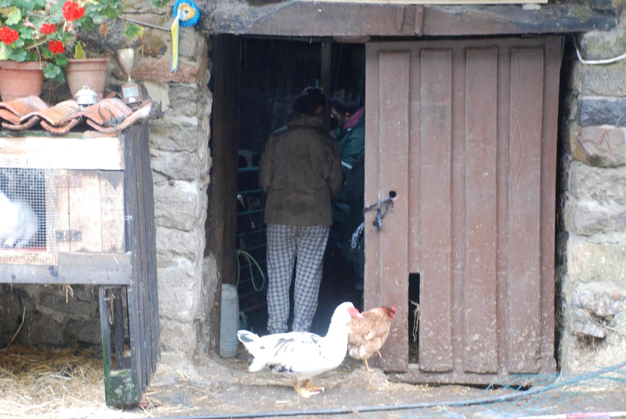Crimen de Cueves (Ribadesella)
