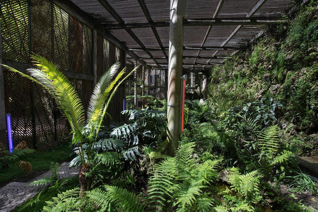 Instalación 'Estufa fria' de Diana Policarpo en el Jardín Botánico de la Universidad de Coímbra. 