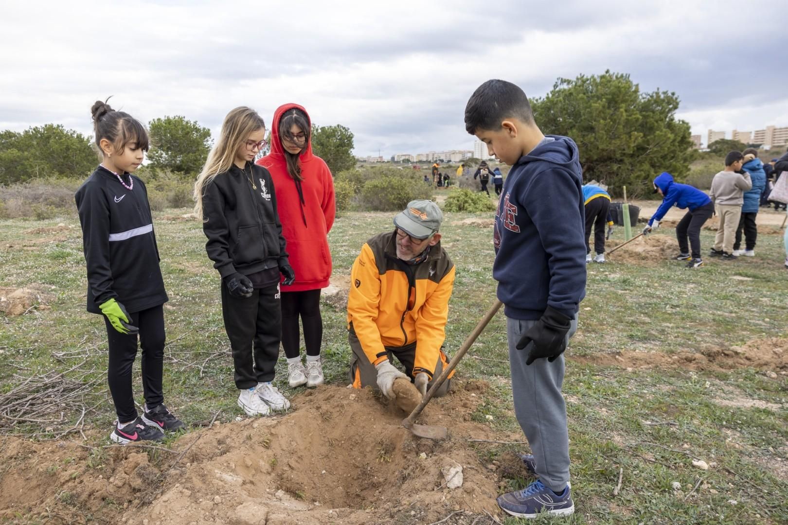 Jornada escolar plantación de especies autóctonas junto al parque natural de las lagunas de Torrevieja y La Mata