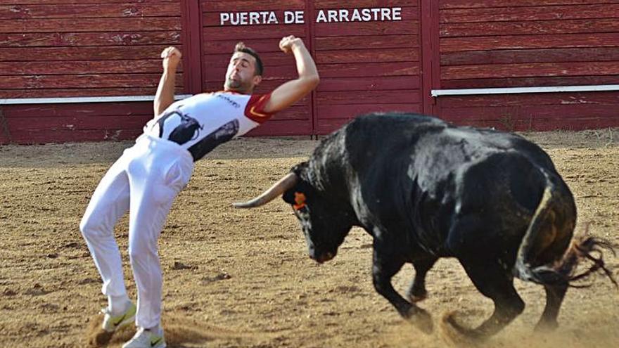 Concurso de cortes, quiebros y saltos en Benavente. / E. P.