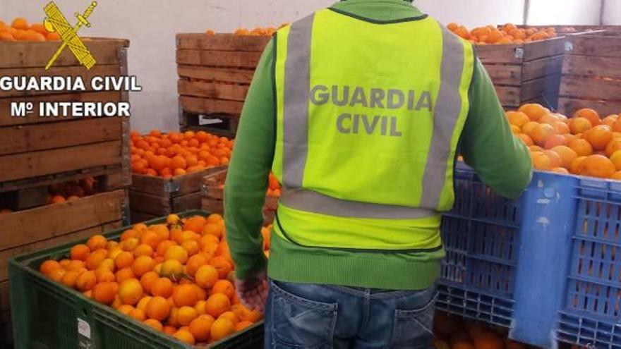 Dieciséis detenidos por el robo de 83 toneladas de naranjas